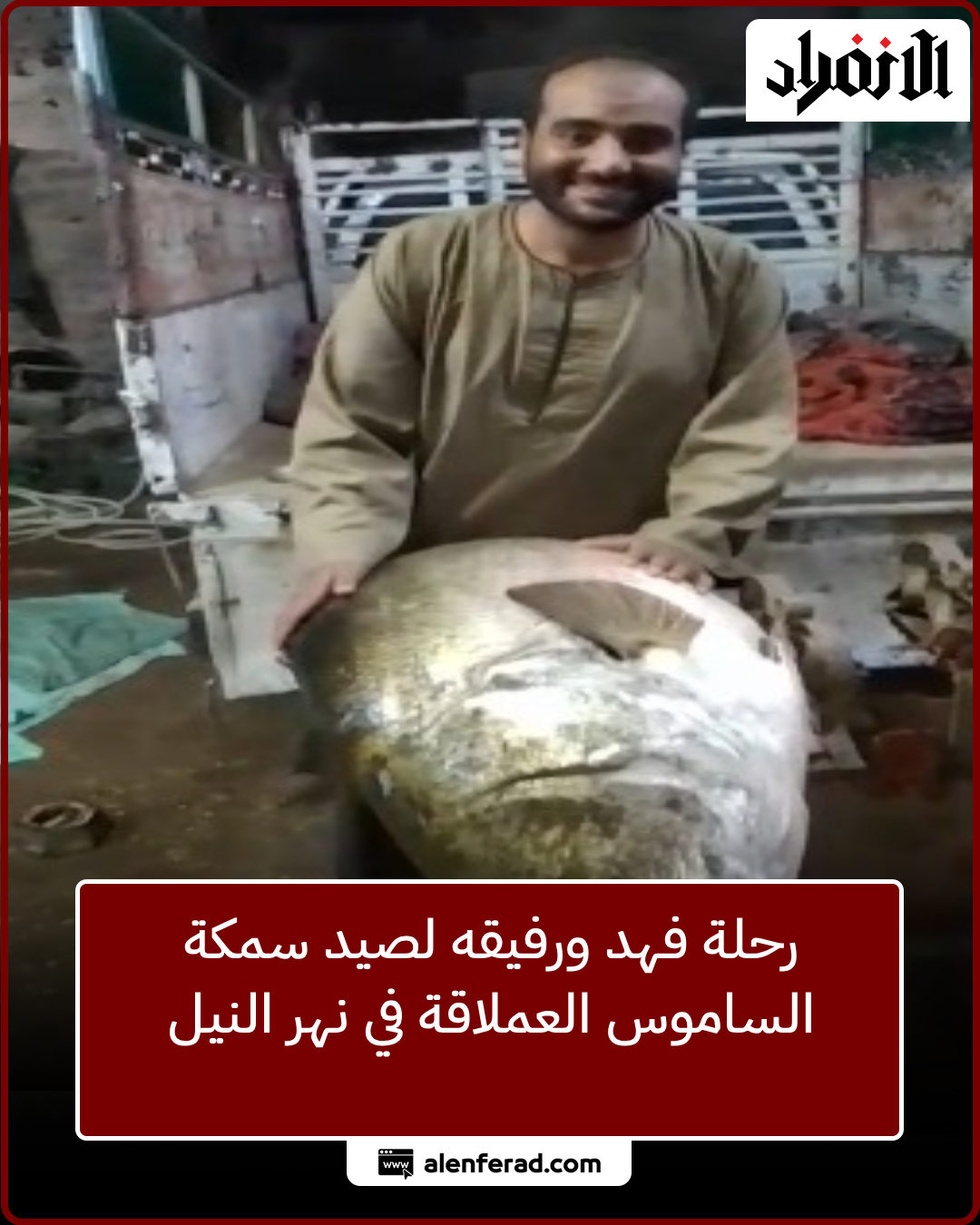 سمكة الساموس