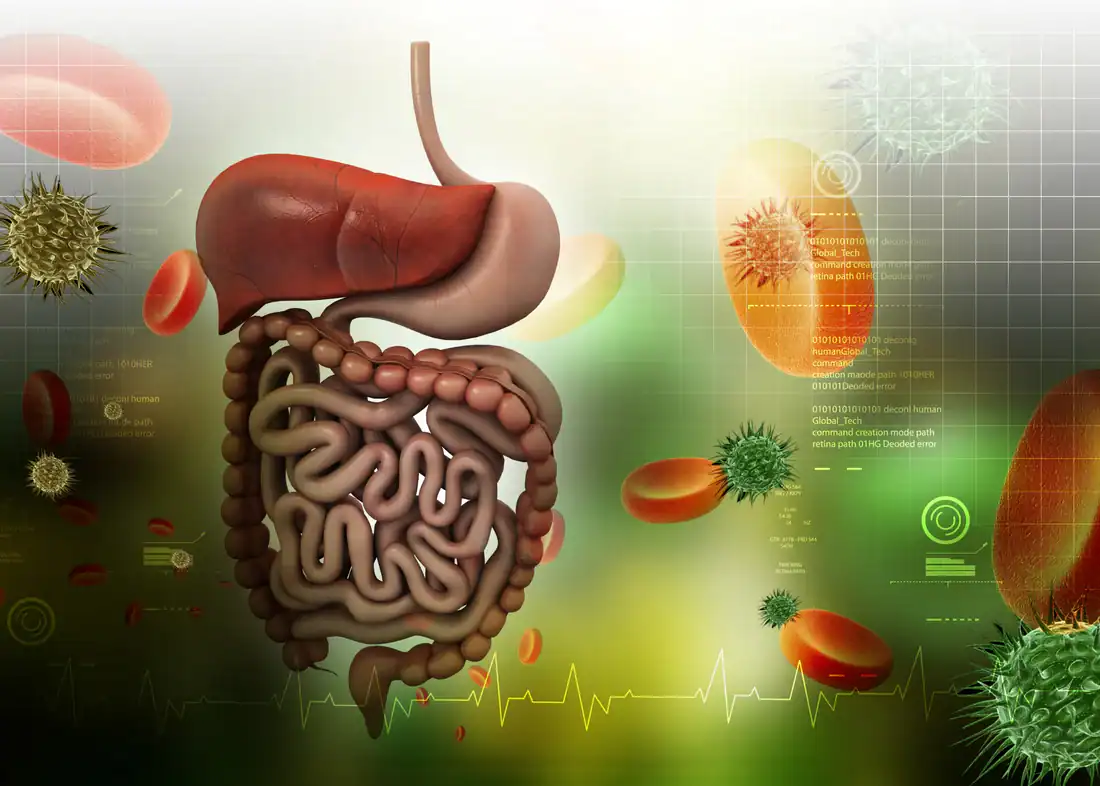 علاج عسر الهضم