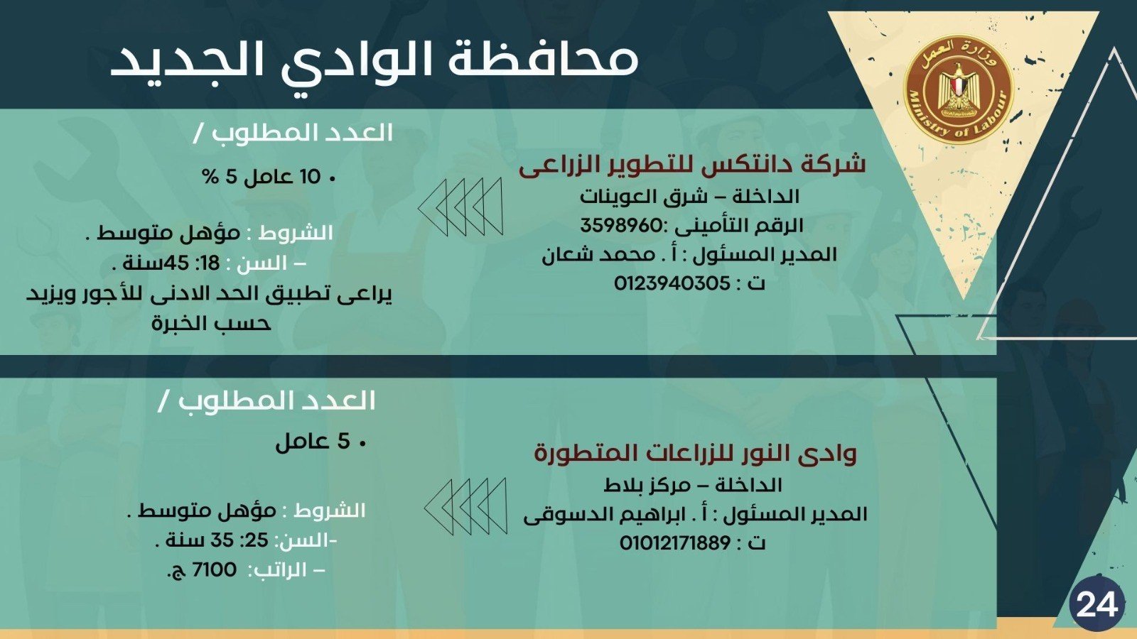 وظائف وزارة العمل