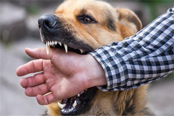 مسلم يعود بتعاون جديد مع إسلام شوقي في أغنية «سوء اختيار»  