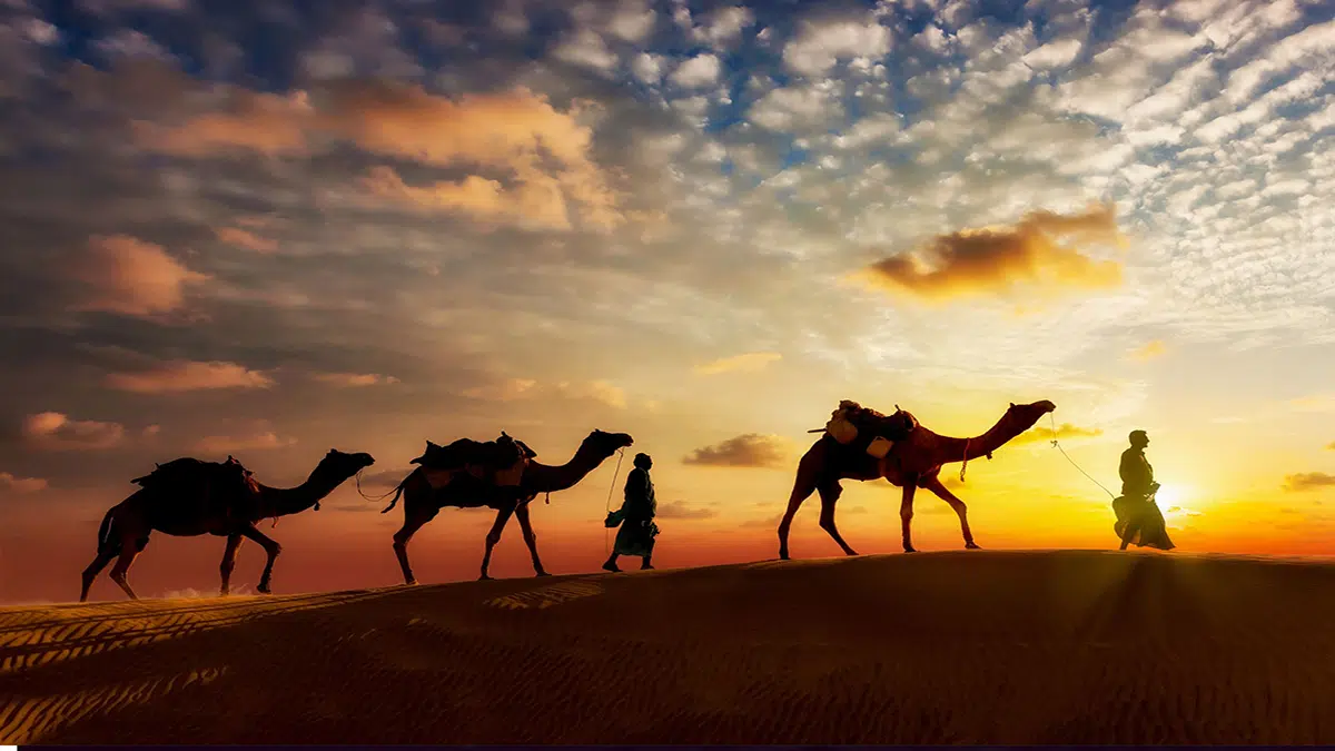 حكم صادم في قضية سارة العدل.. ماذا حدث داخل قاعة المحكمة؟
