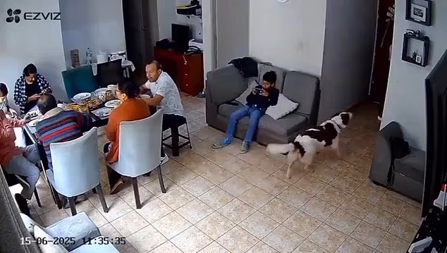 مرموش يشعل أجواء المعسكر بأغاني بهاء سلطان (فيديو)