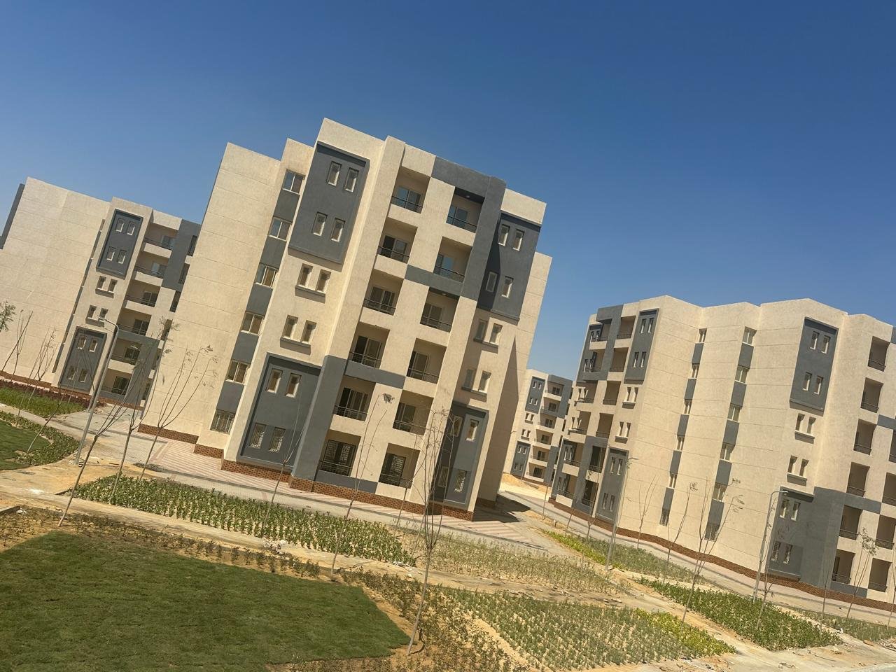 مشروع ديارنا