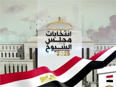 السيسي يدلي بصوته في انتخابات مجلس الشيوخ 2025 بمصر الجديدة